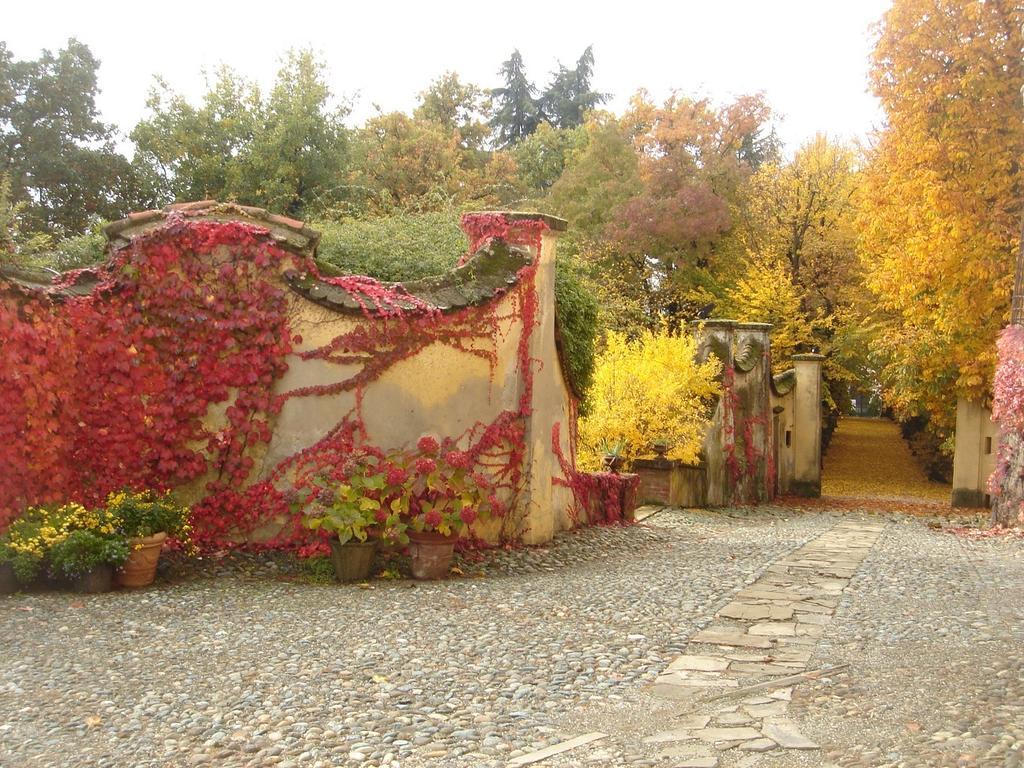 Castello Di Rocca Grimalda Guest House Cameră foto